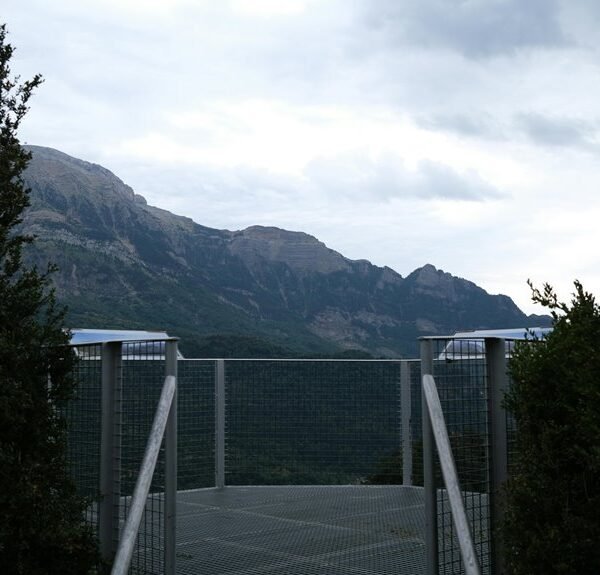 elevate online service platform