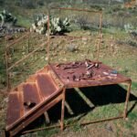 upgrade your digital tools