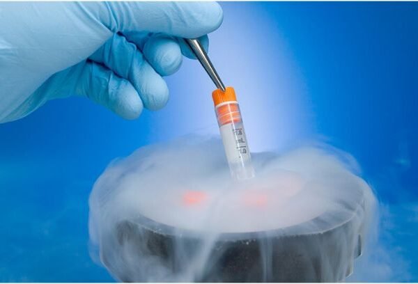 Worried About Fertility Preservation? Here's How an IVF Center in Noida Can Help Manage Egg Freezing Costs